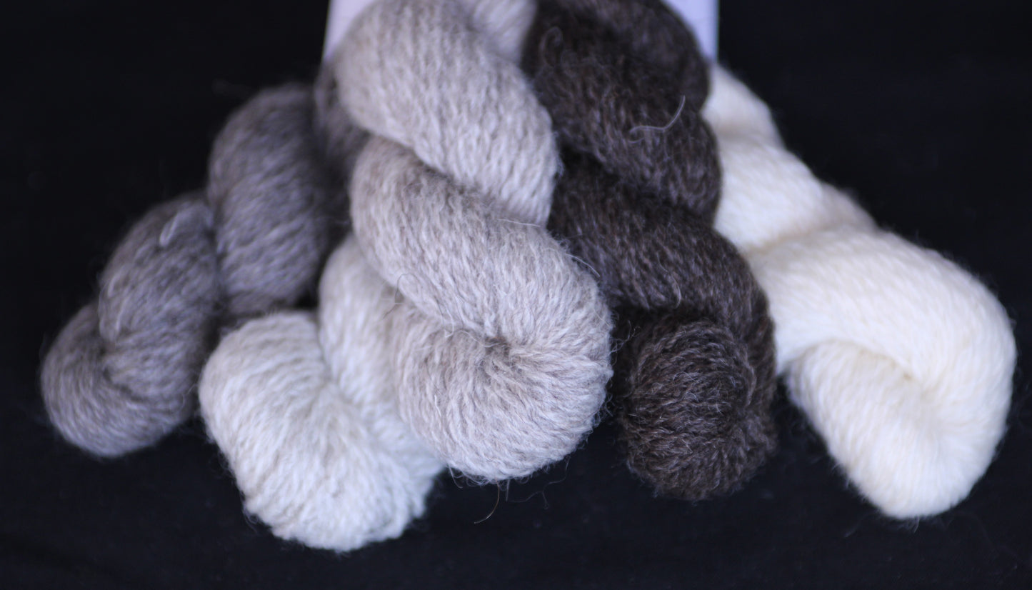 Marquetry hat kit four ply