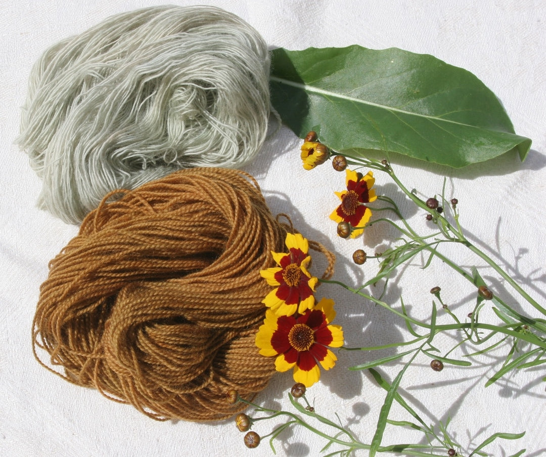 Natural dyeing workshop cellulose fibres