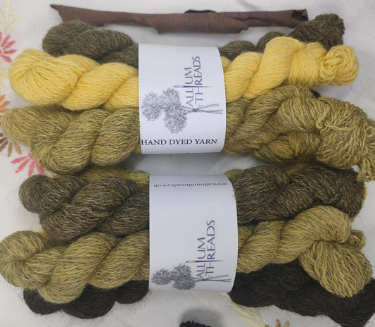 Yellow and green BFL/Masham four ply yarn mini set