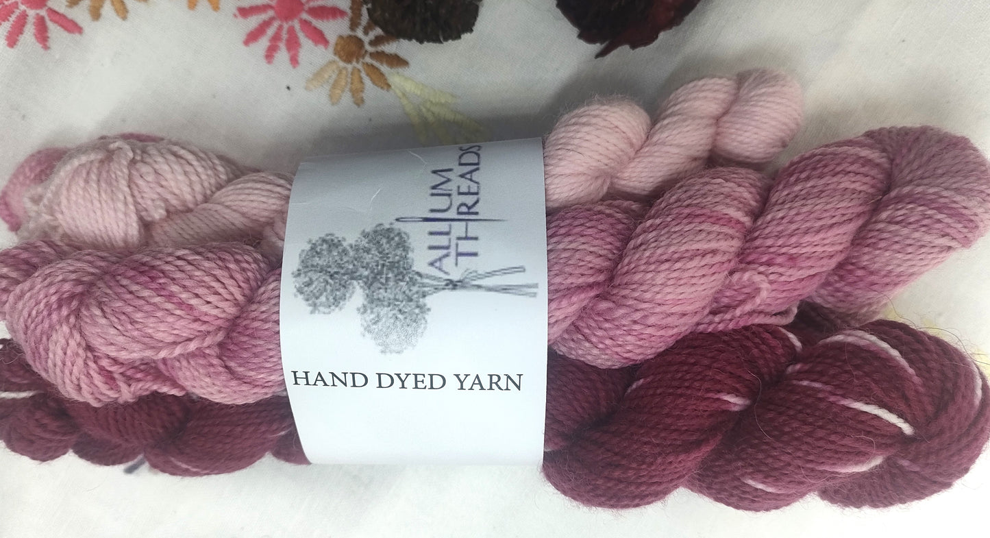 Variegated pink and purple high twist merino and BFL four ply mini set