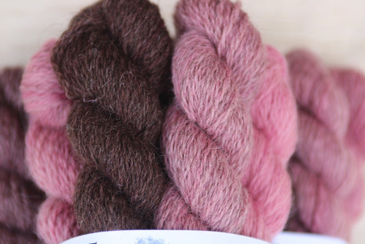 Pink BFL/Masham four ply yarn mini set