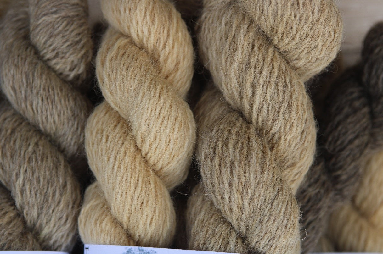 Gold and grey BFL/Masham four ply yarn mini set